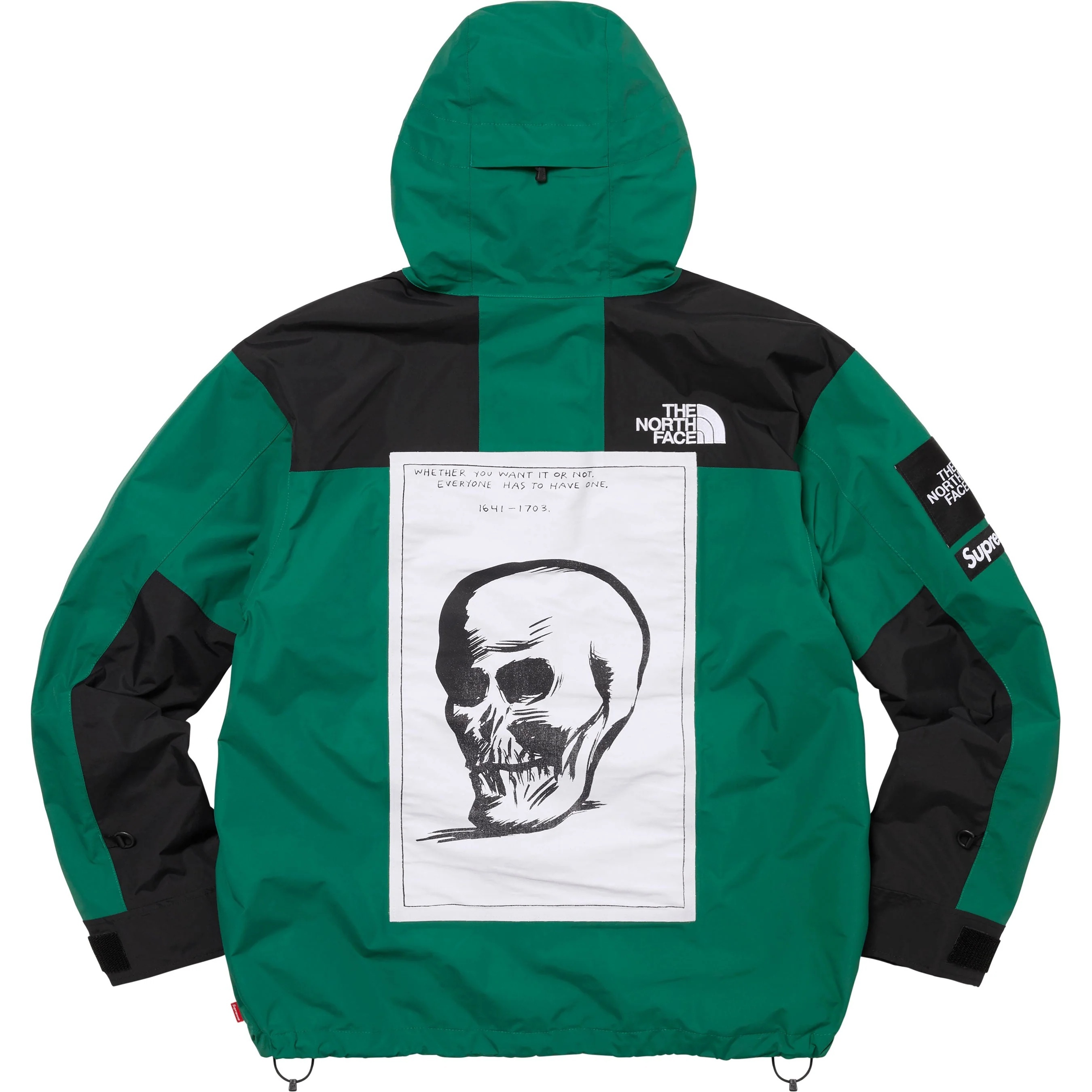Supreme®/The North Face® Mountain Jacket view 7